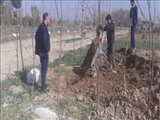 3 حلقه چاه غیر مجاز شناسایی شد