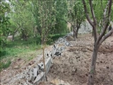 ممانعت از تفکیک اراضی کشاورزی در بخش صفادشت