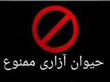 برخورد قاطع دادستان شهرستان دماوند با مورد حیوان‌آزاری در آبسرد/ ساماندهی سگ‌های ولگرد پیگیری می‌شود