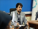 معاون استاندار تهران: هر گونه افزایش قیمت مرغ در استان‌های مجاور بازار توزیع تهران را مختل می کند 