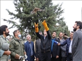 استاندار تهران: لزوم فرهنگ‌سازی در حوزه محیط زیست/ برگزاری رویدادهای محیط زیستی برای تشویق حفاظت از محیط زیست اقدامی قابل تقدیر است