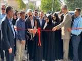 معاون امور بانوان و خانواده رئیس جمهور: حمایت ویژه دولت از بانوان سرپرست خانوار و اشتغال آفرین
