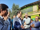 آخرین وضعیت بازار گوشت و مرغ تهران