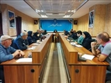 سرپرست دفتر اقتصادی استانداری تهران: استفاده از ظرفیت دفاتر خدمات الکترونیک جهت خدمت رسانی به فعالین حوزه فرش/ اکثر قالیبافان تحت پوشش بیمه قرار گرفتند