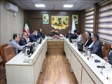 جهاد کشاورزی متولی اصلی نظارت بر نانوایی ها