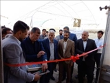 ویژه هفته دولت/ افتتاح گلخانه در روستای فیلستان بخش مرکزی شهرستان پاکدشت با حضور معاون استاندار تهران