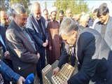 ویژه هفته دولت/ آیین خشت‌گذاری هنرستان ۲۴۰ نفری دخترانه خیّرساز در صفادشت با حضور استاندار تهران؛ فخاری: ۱۱۷ پروژه در هفته دولت کلنگ‌زنی می‌شود