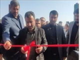 افتتاحیه گلخانه گل رز در ورامین با اشتغال زایی ۱۰ نفر در هفته دولت 