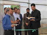 افتتاح گلخانه 6 هزار متری در بخش کهریزک