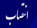 مجری طرح توسعه زنجیرهای ارزش راهبردی استان تهران منصوب شد 