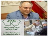 استمرار طرح توزیع رایگان کیسه نان جایگزین پلاستیک در نقاط مختلف سطح شهر ورامین 