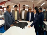 بازدید معاون استاندار تهران از ظرفیت‌های صنعتی شهرستان قرچک