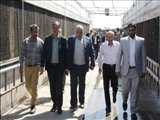 بازدید معاون باغبانی وزیر جهاد کشاورزی از گلخانه های شهرستان پاکدشت