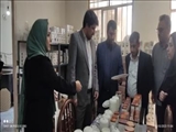 بازدید معاون استاندار تهران از طرح های اشتغالزایی شهرستان ورامین 