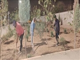 عملیات واکاری فضای سبز شهر فرون آباد صورت پذیرفت