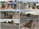 کاشت ۱۵۰ نهال در بلوار کشاورز روستای قرمز تپه بخش شریف آباد