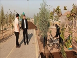بازدید سرپرست شهرداری فرون آباد از پارک ها و فضاهای سبز شهری 