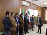 قدردانی شهردار و اعضای شورای اسلامی شهر صالحیه از معلولین کارمند مدیریت شهری