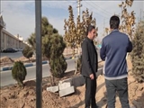 سرپرست شهرداری فرون آباد: ساماندهی ورودی شهر در راستای زیباسازی سیما و منظر شهری انجام می شود