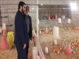 بازدید بخشدار مرکزی شهرستان پاکدشت از واحد های تولیدی روستای قلعه نو املاک