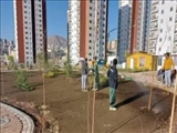  بهره برداری  "زیتون" در فاز ۹ شهر پردیس 