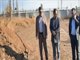 خودکفایی مدیریت شهری پیشوا در تولید انواع گل ونهال