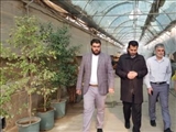 افتتاح ۱۰ پروژه کشاورزی در پاکدشت