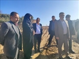 بازدید شهردار و اعضای شورای معاونین از روند ساخت بلوار آستانه