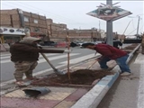 کاشت درخت در معابر شهری فرون آباد آغاز شد