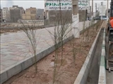 غرس 5600 انواع گل و درخت در طرح استقبال از بهار قرچک