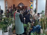 استقبال پرشور مردم قرچک از نمایشگاه هفت سین و  گل و گیاه