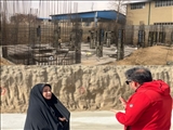 آغاز عملیات اجرایی پروژه احداث مدرسه ۱۲ كلاسه در شهر قدس