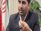 ۸۱۶ فروشگاه برای اجرای طرح «فجرانه» در پاکدشت فعال است