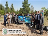 پویش ” بی زباله در نصیرشهر” برگزار شد