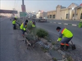 طرح ضربتی پاکروبی در سطح شهر فرون آباد انجام شد