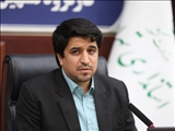 معاون استاندار تهران: رشد ۳ برابری پرورش مرغ گوشتی در استان تهران/ احداث ۲ مگافارم پیگیری می‌شود