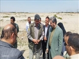 پاکسازی حاشیه محور آزاد راه تهران – ساوه از سوی شهرداری نصیرشهر انجام گرفت