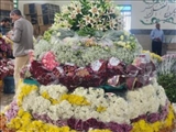 بارگاه منور رضوی، مزین به ٣۵٠ هزار شاخه گل اهدایی گلکاران پاکدشتی