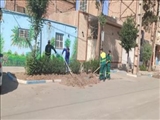 ادامه طرح واکاری فضای سبز شهر فرون آباد