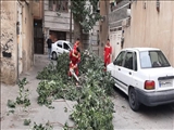 شكسته شدن ۱۸ اصله درخت در پی طوفان دیروز شهرقدس