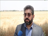 برداشت محصولات کشاورزی شهریار امسال رونق چشمگیری داشته است