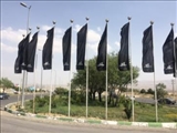 شهر دماوند سیاه‌پوش شد