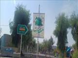 فضاسازی شهر فرون آباد به مناسبت فرا رسیدن هفته وحدت صورت پذیرفت