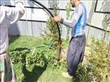پلمپ یک حلقه چاه غیر مجاز و  توقیف  یک دستگاه پمپ کف کش در منطقه نمیر رودهن