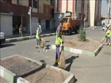 طرح جهادی پاکسازی معابر در مسکن مهر امین اجرا شد