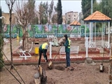 عملیات کاشت انواع درخت و درختچه در معابر و بوستان های شهری آغاز شد