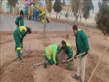 عملیات بازپیرایی و احیای فضای سبز بوستان‌های سطح شهر آغاز شد
