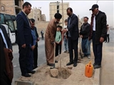 غرس ۴۰ اصله نهال در نصیرشهر