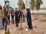 درختکاری یکی از اساسی‌ترین راه های توسعه اجتماعی است