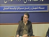 جزئیات طرح حمایتی دولت برای خرید کالاهای اساسی در استان تهران تشریح شد